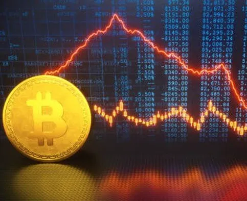 Immediate Dox8E - Conquer the Craft of Trading with Immediate Dox8E